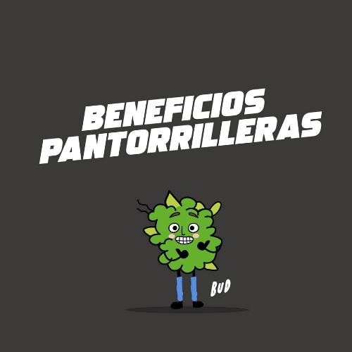 Pantorrillerasbudweb1